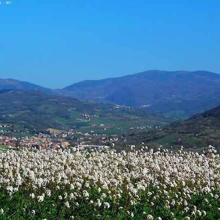 Park Hotel Salice Terme - Oltrepo Pavese - Luaran gambar