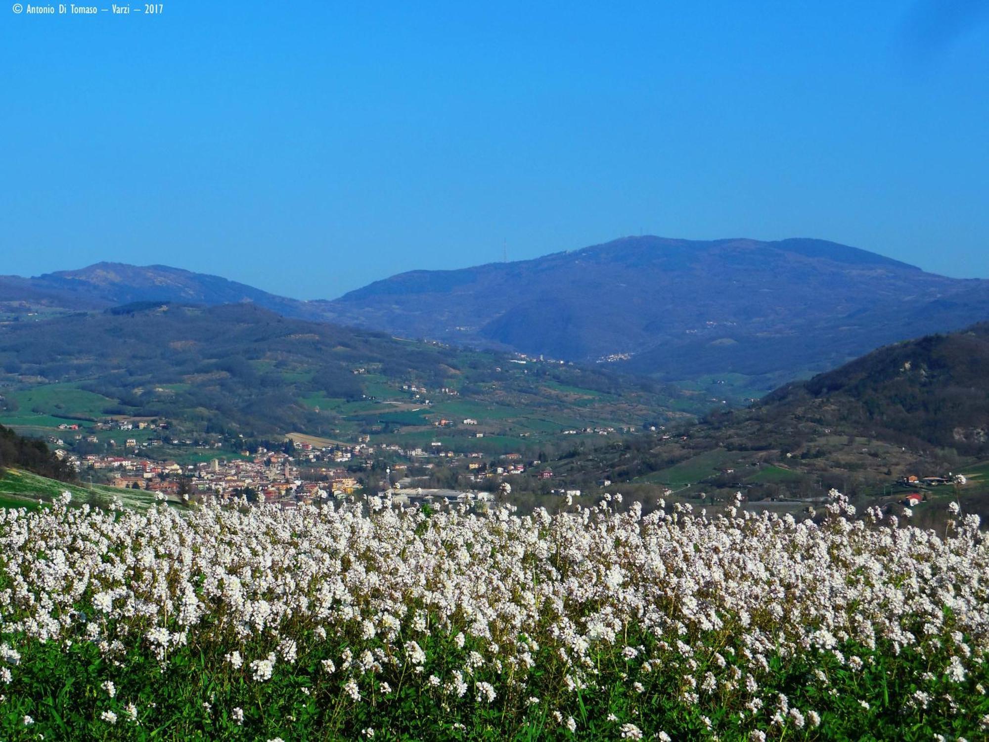 Park Hotel Salice Terme - Oltrepo Pavese - Luaran gambar