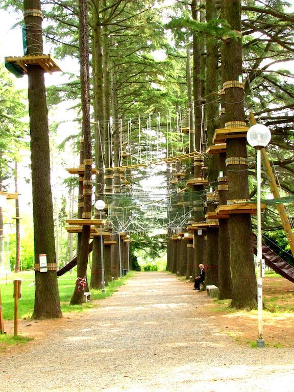 Park Hotel Salice Terme - Oltrepo Pavese - Luaran gambar